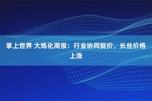 掌上世界 大炼化周报：行业协同挺价，长丝价格上涨
