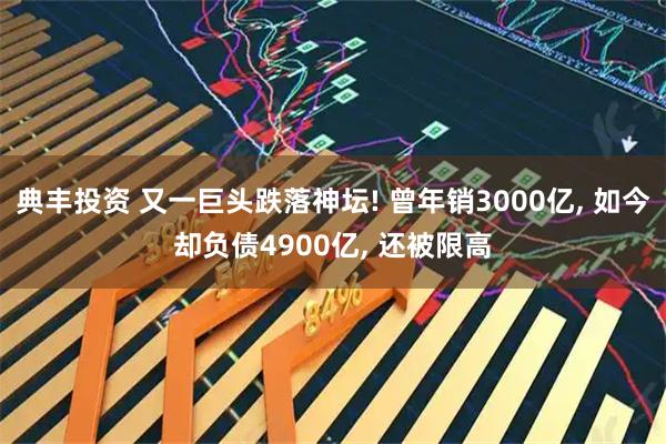典丰投资 又一巨头跌落神坛! 曾年销3000亿, 如今却负债4900亿, 还被限高