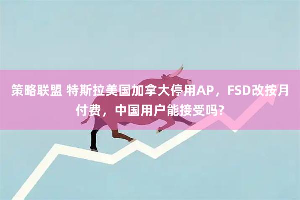 策略联盟 特斯拉美国加拿大停用AP，FSD改按月付费，中国用户能接受吗?