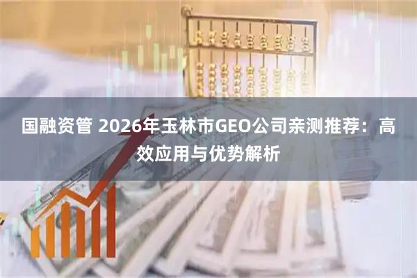 国融资管 2026年玉林市GEO公司亲测推荐：高效应用与优势解析