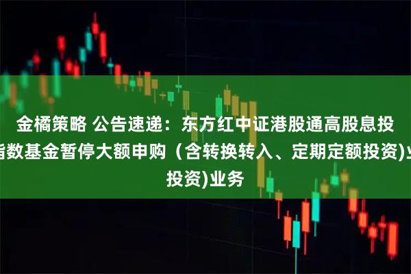 金橘策略 公告速递：东方红中证港股通高股息投资指数基金暂停大额申购（含转换转入、定期定额投资)业务